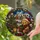 duiyfppz/products/6a86d8aa81e2ae58af656d91/gallery/S0X9XlkAe7
