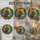 duiyfppz/products/6a86d8b9e9fdf74b36018b06/gallery/FtPYw6Cx1n