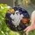 duiyfppz/products/6a86da3f3d1c0c060faa7d60/gallery/G1q1a6gpsP