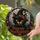 duiyfppz/products/6a86dbc1e9fdf7713b01a308/gallery/43THvAIiRg