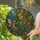 duiyfppz/products/6a86dc5be9fdf7195601a61b/gallery/55UdCH-P7-