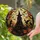 duiyfppz/products/6a86dcbf39bf7793149b2d94/gallery/G8sfBP5Hr3