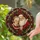 duiyfppz/products/6a86dd1a718f108c1d5a385c/gallery/4Tehrlpmoa