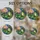 duiyfppz/products/6a86de7e718f1036925a3eeb/gallery/Ec90nIMKRr