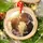 Personalized Couple Photo Glass Christmas Ornament For Couples, Custom Picture Keepsake Anniversary Gift - 3