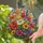 Wildflower Meadow Stained Glass Window Accent For Cottage Gardens And Bright Homes Stained Glass Suncatcher - 2