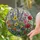 Wildflower Meadow Stained Glass Window Decor Gift for Gardeners and Flower Lovers Stained Glass Suncatcher - 2