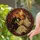 Halloween Pumpkin Bride And Groom Gothic Wedding Decor For Autumn Romance Home Gift Stained Glass Suncatcher - 2