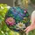 Dragonfly Lotus Pond Window Decor For Botanical Garden Lovers And Mom Gift Glass Stained Glass Suncatcher - 2