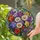Stained Glass Birth Flower Bouquet for Mother's Day, Spring Home Decor, Gift for Mom Stained Glass Suncatcher - 2
