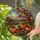 Autumn Harvest Oak And Pumpkin Window Decor For Cozy Farmhouse Homes And Year-Round Gifts Stained Glass Suncatcher - 2