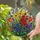 Wildflower Bouquet Cottage Decor Gift For Mom, Mother's Day, Garden Home Accent Piece Stained Glass Suncatcher - 2