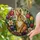 Stained Glass Easter Bunny Decor Gift for Rabbit Lovers and Spring Garden Homes Stained Glass Suncatcher - 2