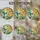 duiyfppz/products/6a8e63f40096431e520b7fb1/gallery/irX_5N9ifz