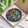 duiyfppz/products/6a8e643c62d92c2451c57b2b/gallery/xn4RHvq93o
