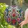 duiyfppz/products/6a8e64a2009643e6b70b8216/gallery/jYbcPDGcBU