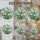 duiyfppz/products/6a8e64b421aaad7fcba4d3cd/gallery/U-Gt4HWw7Y