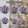 duiyfppz/products/6a8e658821aaade12ea4d787/gallery/F2iIwLxEww