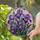 duiyfppz/products/6a8e658821aaade12ea4d787/gallery/l0WrFLRvR8