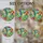 duiyfppz/products/6a8e6709e33663432f4a5860/gallery/T58KGuvxhQ