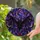 duiyfppz/products/6a8e677621aaad6cd4a4de0f/gallery/96RemxF54-
