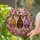 duiyfppz/products/6a8e67f062d92c003dc5a997/gallery/GgEeUrwRws