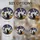 duiyfppz/products/6a8e683021aaad609fa4f34d/gallery/PZMiBo91uF