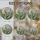 duiyfppz/products/6a8e6a3d0096433e870bd9af/gallery/bjOit_PgQW