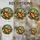 duiyfppz/products/6a8e6a4f62d92c09f1c5c955/gallery/8sRLmrD1HQ
