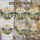 duiyfppz/products/6a8e6ab8e33663ed1c4acd66/gallery/gwTLf-_JoA