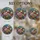 duiyfppz/products/6a8e6c3c21aaad45e7a56216/gallery/gpWyTcqoGW