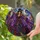 duiyfppz/products/6a8e6c95e3366335134aeb67/gallery/YKOkoz58UA