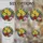 duiyfppz/products/6a8e6d46e3366364684affde/gallery/dvcv6QqNKd
