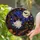 duiyfppz/products/6a8e6da862d92c1a3dc61593/gallery/nRcBLcUY-Y