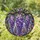 duiyfppz/products/6a8e6e12e33663fd444b2541/gallery/dzuVC-nIcf
