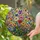 duiyfppz/products/6a8e6e45e3366362cf4b3169/gallery/OH-jP7vZT_