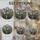 duiyfppz/products/6a8e6e7ee3366316844b3b66/gallery/-qWegsbFpc