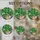 duiyfppz/products/6a8e6f1e00964340c70c4158/gallery/6fMsqL7jDl