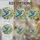 duiyfppz/products/6a8e6f48e33663534a4b435d/gallery/Ijr-3Lr8iC