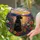 duiyfppz/products/6a8e6ffc00964343f10c56e7/gallery/PmnDxO4o69