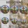 duiyfppz/products/6a8e7016e3366362c84b6165/gallery/ixzcCfQHqW