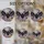 duiyfppz/products/6a8e702a62d92c0050c68473/gallery/FTqrlaVfx-
