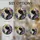 duiyfppz/products/6a8e704362d92cfa3ac68e26/gallery/uMcKp8ZM-X