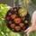 duiyfppz/products/6a8e7115009643d1b00c631f/gallery/tjA8T0p11w