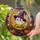 duiyfppz/products/6a8e71410096430d0f0c63cc/gallery/Cp6jgzL4tz