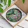 duiyfppz/products/6a8e7154e33663d0094b9271/gallery/eVa6sWN8Tb