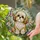 duiyfppz/products/6a8e722d009643c9800c6602/gallery/8OYLKX1jQb