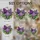 duiyfppz/products/6a8e723fe336635a614b963c/gallery/gHm9mis6va