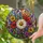 duiyfppz/products/6a8e7294e3366352d04b990d/gallery/gIfruCRudY