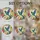 duiyfppz/products/6a8e739de3366378814b9cbc/gallery/7PO3Sm14UG